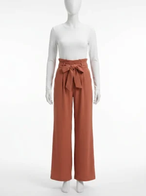 Pantalon plissé business évasé ceinture nouée femme - Vue 1 - Pantalon plissé